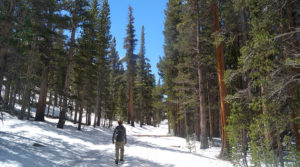 Adventure on Little Lakes Valley Trail - The Lost Longboarder