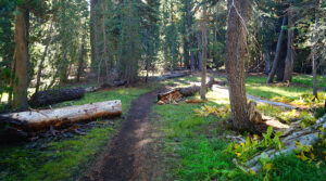 Backpacking Lassen Volcanic National Park - 900x500 Backpacking LVNP Blog Photos 2 300x167