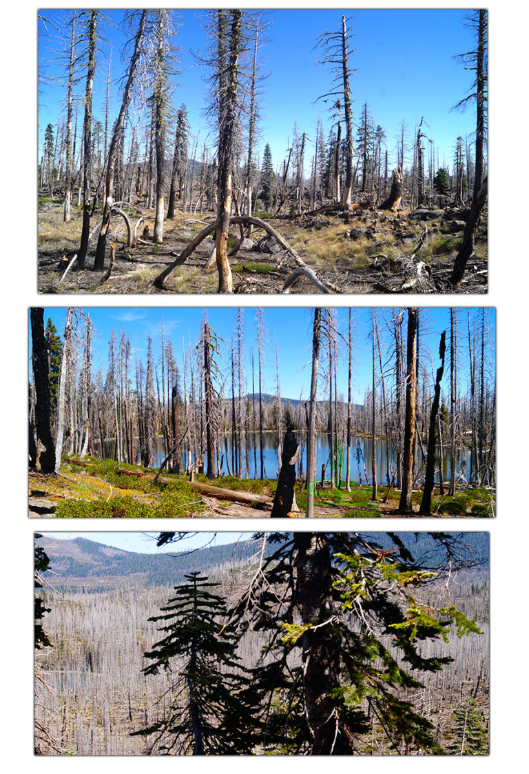 Backpacking Lassen Volcanic National Park - 900x500 Backpacking LVNP Blog Photos 6 768x1123