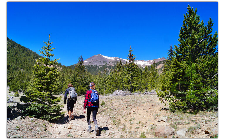 Hiking Humphreys Peak via Inner Basin Trail - The Lost Longboarder