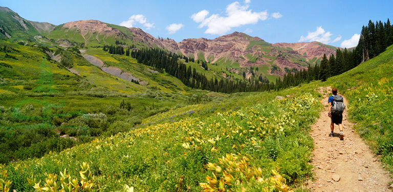 Rustler Gulch Trail | Hiking in Crested Butte - The Lost Longboarder