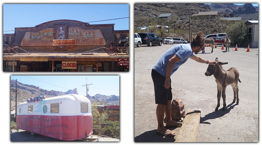 western vibes in oatman arizona