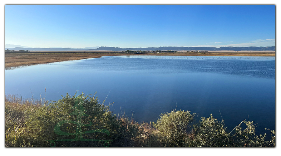 pretty lake at maxwell national wildlife refuge