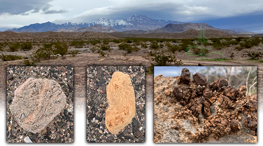 cool rocks near the virgin river