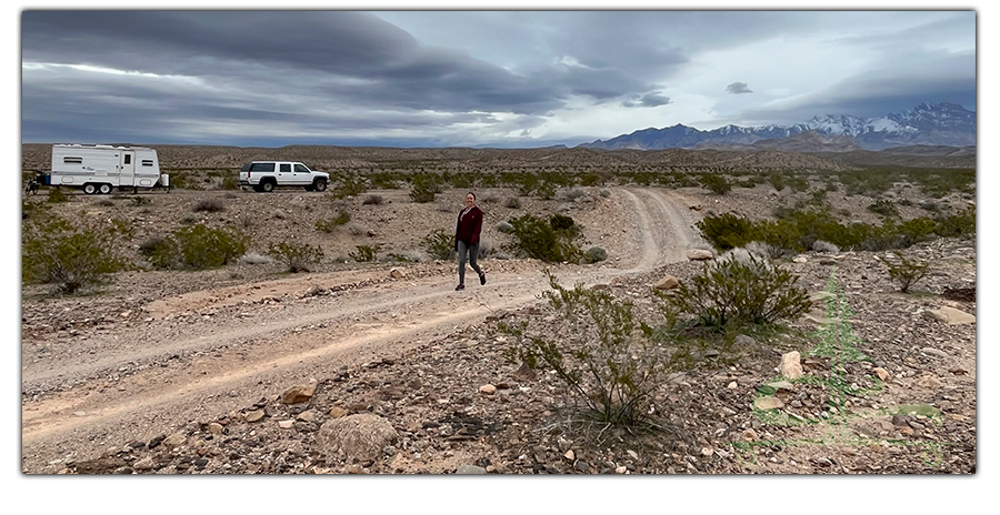 dispersed camping at gold butte national monument