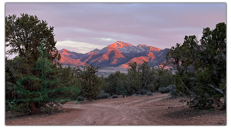 view of snowy mountains in lovell canyon