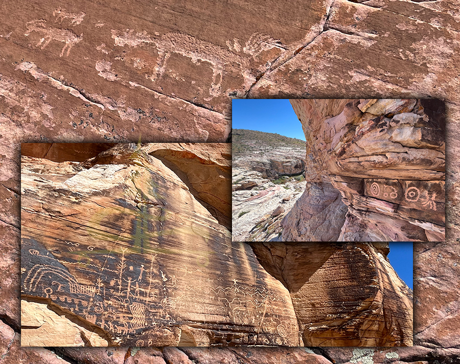 many petroglyphs in gold butte national monument