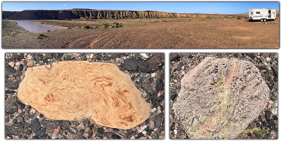 dispersed camping near gold butte national monument