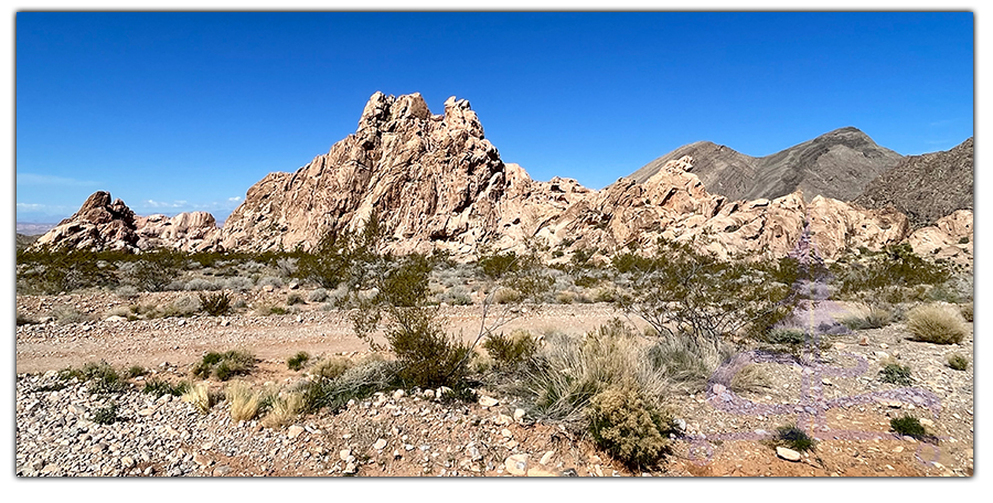 whitney pocket in gold butte national monument