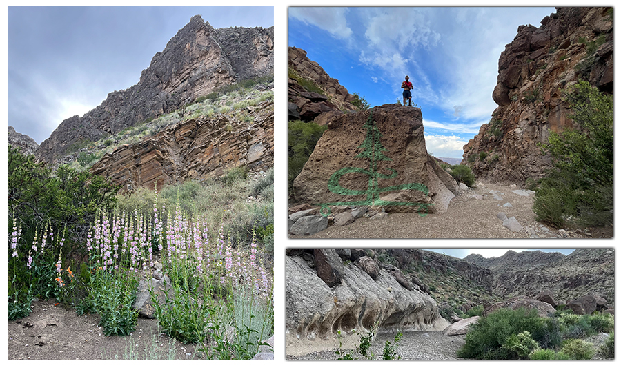 exploring box canyon near alamo, nevada