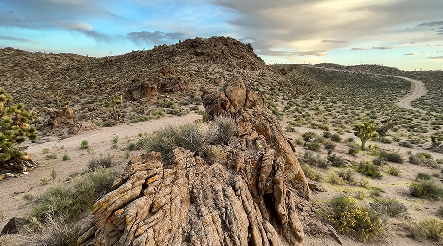 beautiful desert near alamo, nevada