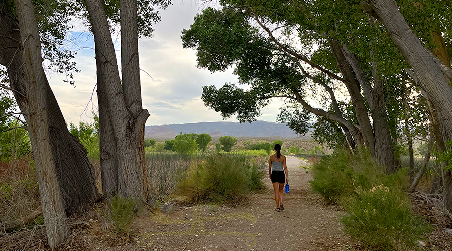 hiking the trails at pahranagat national wildlife refuge