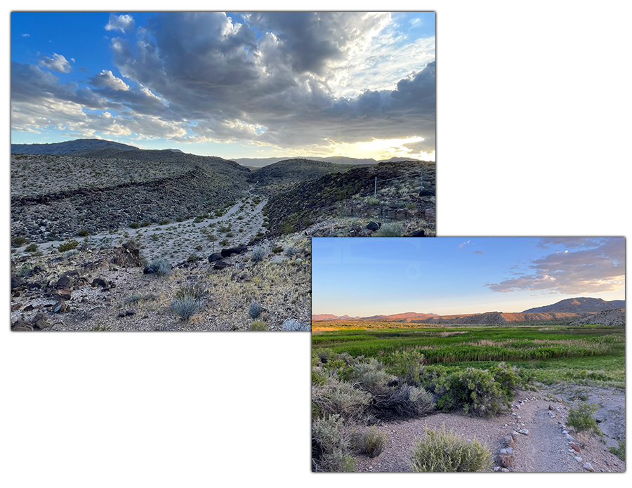 davenport trail in nevada