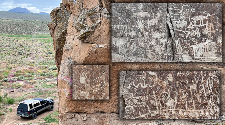 amazing petroglyphs at basin and range national monument