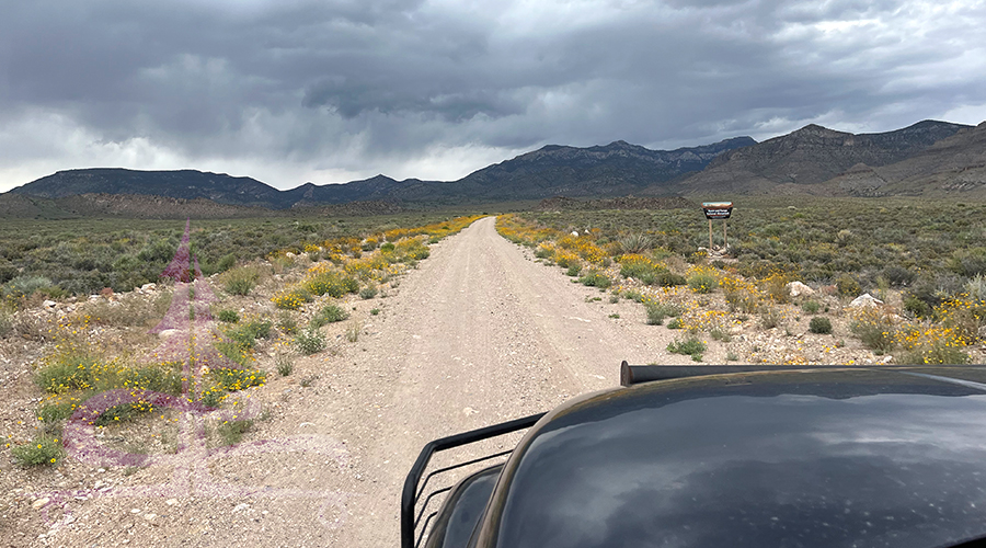 long dirt road to the mount irish wilderness in nevada