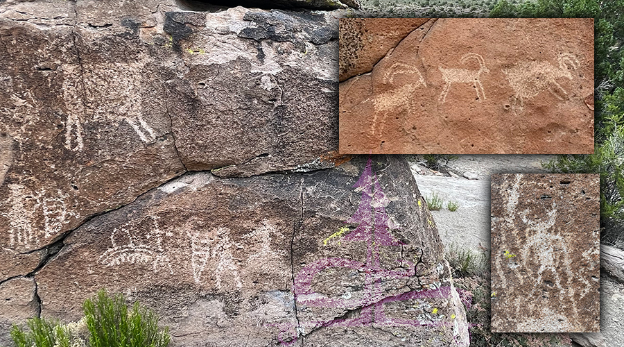 petroglyphs at basin and range national monument