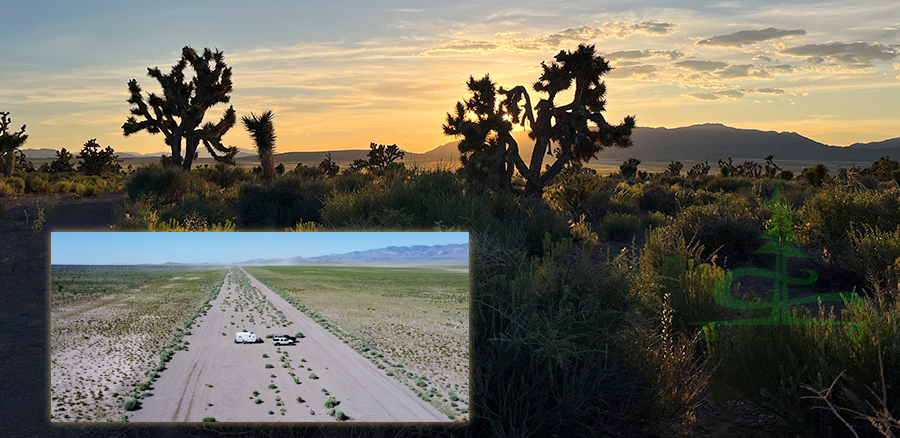 dispersed camping at the old airstrip near caliente nevada