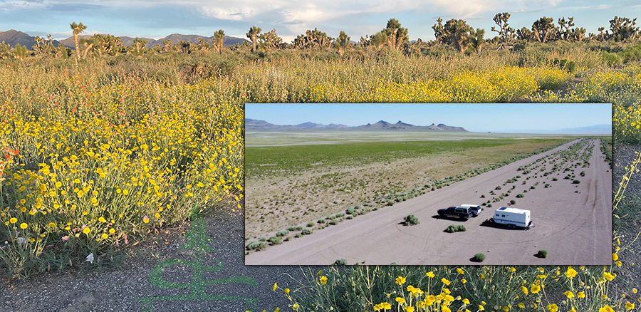 dispersed camping at the old airstrip near caliente 