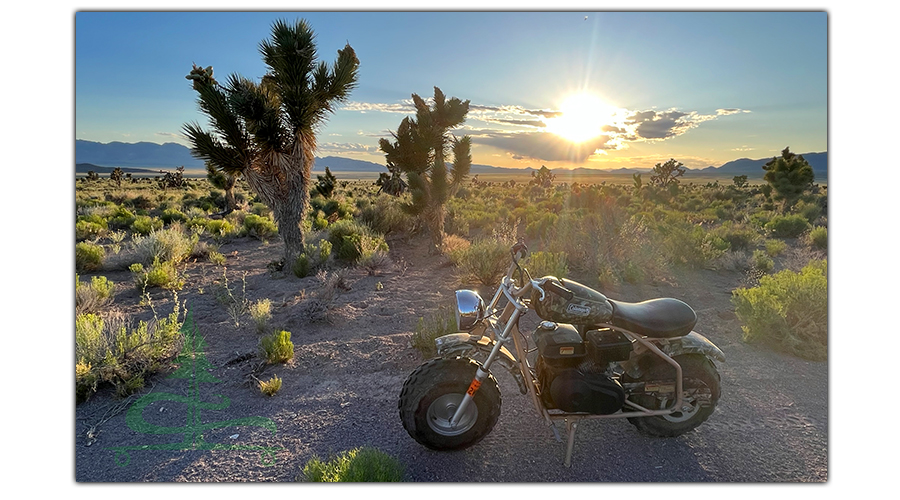 mini bike in the desert with joshua trees