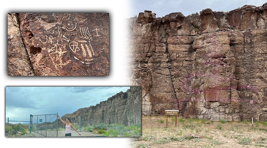 petroglyphs in Weepah Spring Wilderness