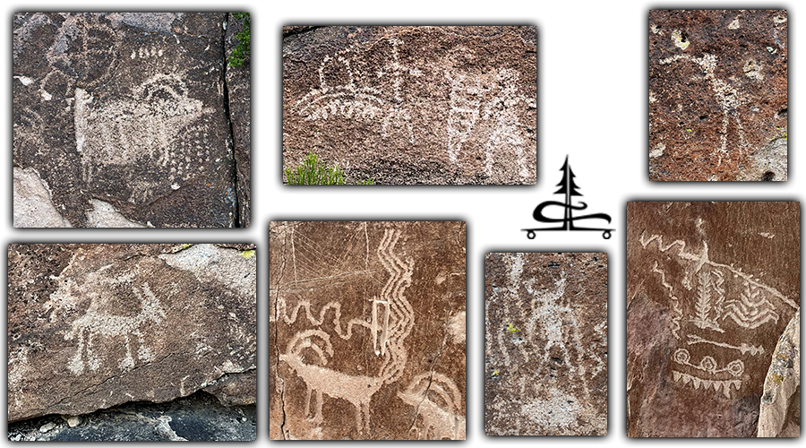 amazing petroglyphs at basin and range national monument in nevada