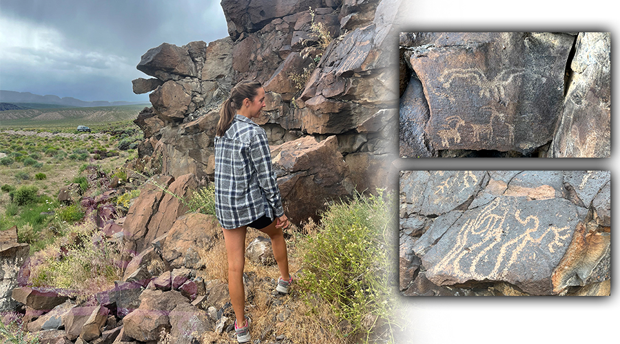 looking at petroglyphs in basin and range national monument